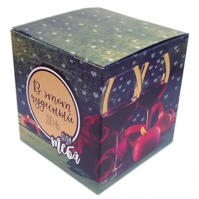 В этот чудесный день (без окна)