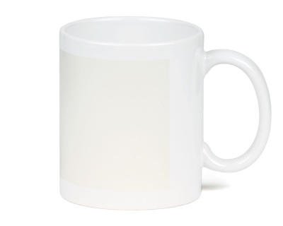 Main_FL