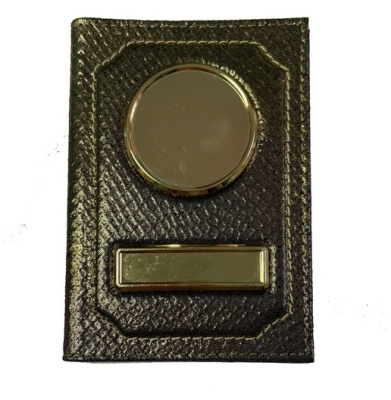 Обложка для автодокументов с линзами под вставку, натуральная кожа, золото питон 1